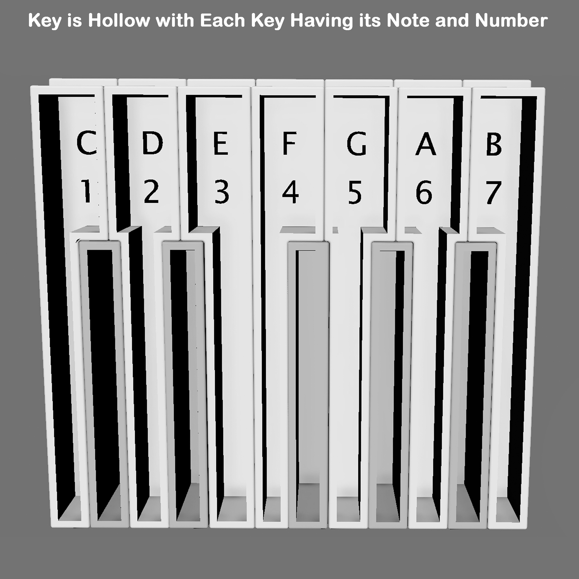 Piano Key – Full Octave  -  7 White, 5 Black